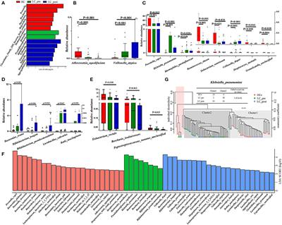 Lactitol Supplementation Modulates Intestinal Microbiome in Liver Cirrhotic Patients